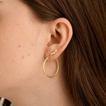 Load image into Gallery viewer, Slim Matte Gold Hoops