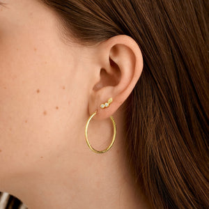 Slim Matte Gold Hoops