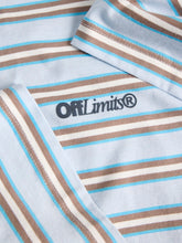 Load image into Gallery viewer, Sky Brown Stripe T-shirt