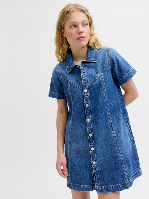 Amara Western Denim Dress