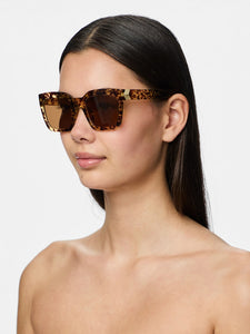 Blonde Tortie Shades